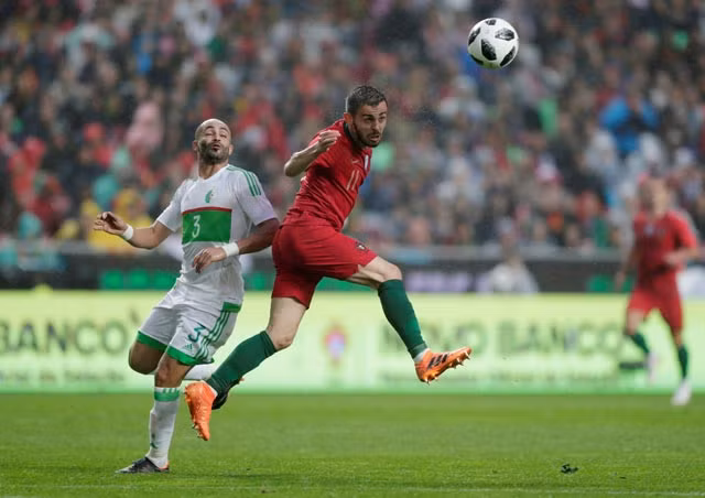 Nhan dinh bong da Bo Dao Nha voi Morocco: Ban linh cua ung cu vien-Hinh-2