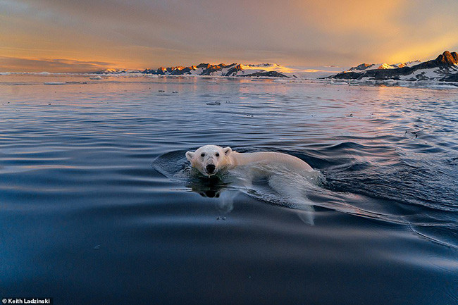 2019 tới nơi rồi, bạn đã lên kế hoạch đi du lịch ở đâu chưa? - Hình 8 2019 toi noi roi, ban da len ke hoach di du lich o dau chua?-Hinh-8