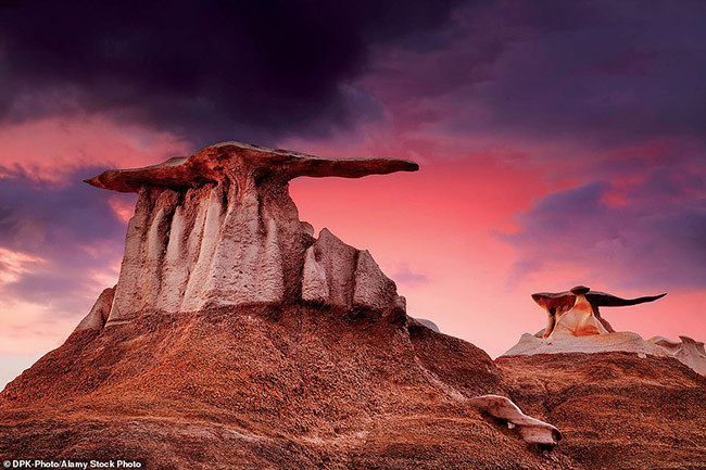 2019 tới nơi rồi, bạn đã lên kế hoạch đi du lịch ở đâu chưa? 2019 toi noi roi, ban da len ke hoach di du lich o dau chua?