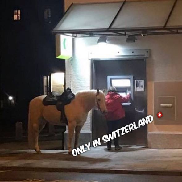 Ngựa là một trong những phương tiện giao thông phổ biến tại đây