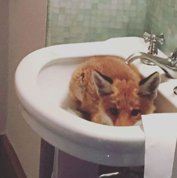 Vị khách không mời này có thể xuất hiện mọi lúc