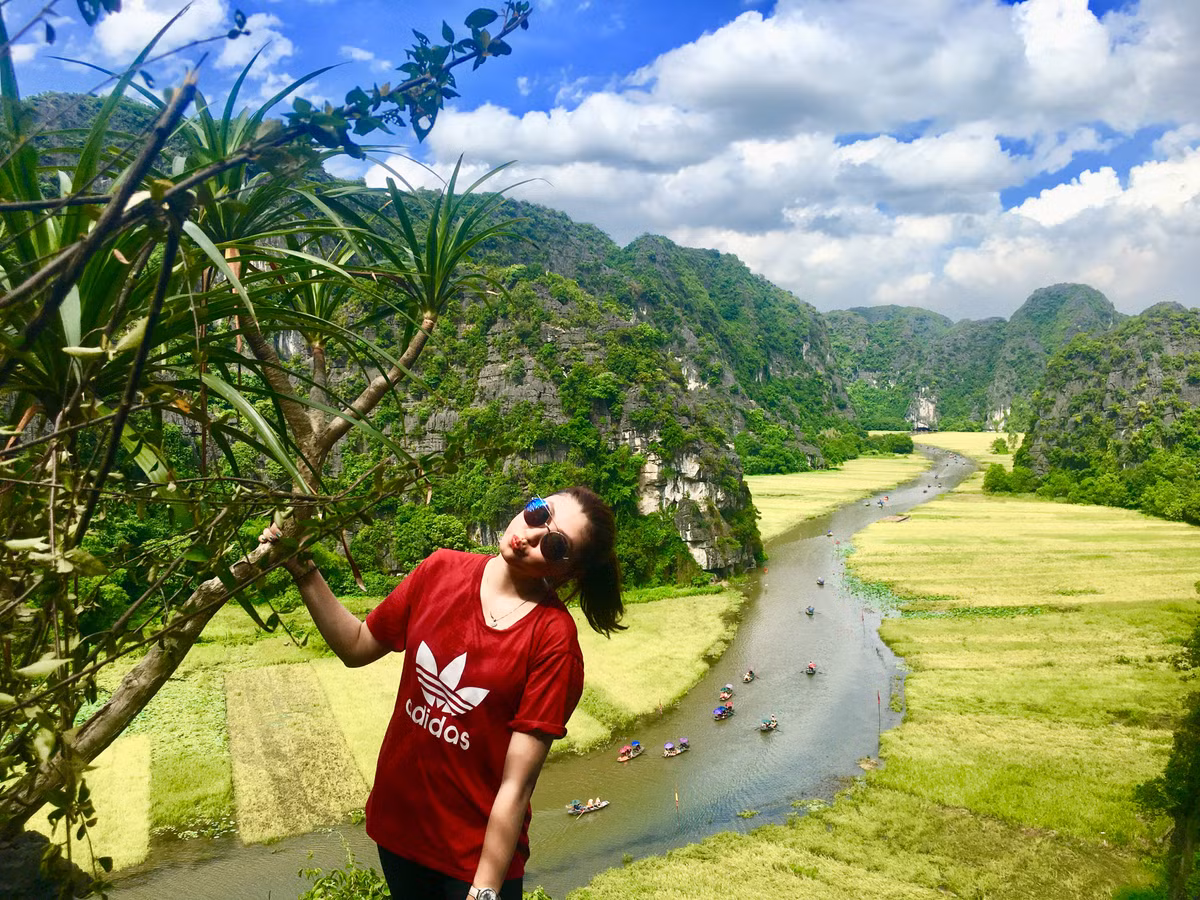 Tam Cốc – Bích Động một trong những điểm săn lúa hấp dẫn nhất ở Ninh Bình. Mỗi năm vào cuối tháng 5, dân chụp ảnh và khách du lịch đều đổ đến Tam Cốc để chụp những bức ảnh mùa vàng tuyệt đẹp. Những cánh đồng lúa tại đây chỉ trồng được một vụ chiêm. Lúa sẽ chín rộ vào dịp cuối tháng 5, đầu tháng 6 trong khoảng thời gian hai tuần.