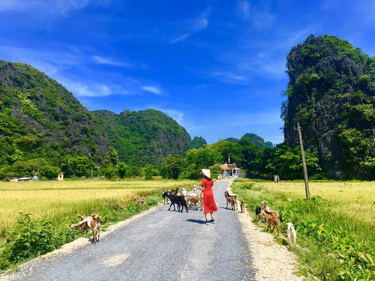 Chẳng cần phải tìm đâu xa, về nơi đây bạn sẽ có những trải nghiệm đầy thú vị. Lang thang trên những con đường vắng, đi bộ thong dong cùng những chú dê.