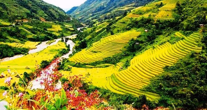  Việt Nam: Phong cảnh xanh tươi của Việt Nam tạo nên một nơi nghỉ trăng mật lý tưởng ở châu Á.Việt Nam là một quốc gia Đông Nam Á nổi tiếng với những bãi biển bình yên tuyệt đẹp, những dòng sông xanh mát và những thành phố nhộn nhịp. Có rất nhiều điều để khám phá tại đất nước này trong một chuyến đi dài ngày. Nếu bạn muốn có một kỳ nghỉ trăng mật lãng mạn, bạn thực sự có thể tận hưởng những khoảnh khắc đẹp nhất của mình cùng nhau tại Việt Nam. Một số trong những điều tốt nhất để làm ở Việt Nam bao gồm ăn các món ăn ngon tại các nhà hàng hoặc các quán vỉa hè bình dân, đi du lịch ở đồng bằng sông Cửu Long, thăm đường hầm Củ Chi hoặc thực hiện một chuyến đi thuyền kayak với người dân địa phương.