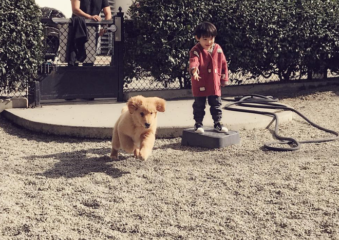 Xuân - Hạ - Thu - Đông rồi lại Xuân, cậu bé và chú chó cưng chẳng rời nhau nửa bước.