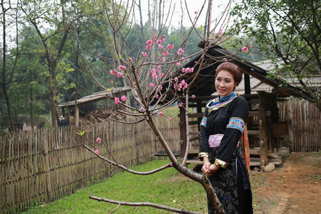 Lưu Thị Hòa (26 tuổi) từng giành giải nhất cuộc thi Người đẹp miền cao nguyên đá 2014. Sau đó, cô tốt nghiệp ĐH Khoa học Xã hội và Nhân văn Hà Nội, tham gia một số cuộc thi nhan sắc khác.