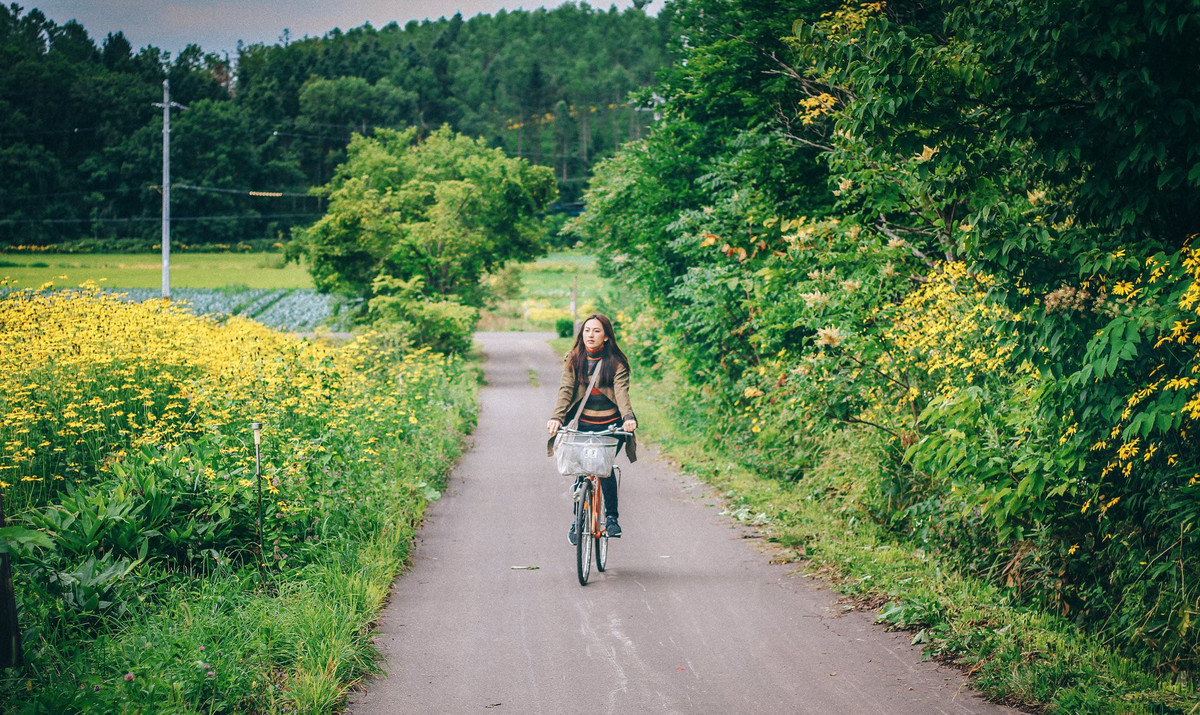 Bất cứ nơi đâu ở đây cũng thành một khung hình đẹp, những con đường rớp bóng những hàng cây xanh, cánh đồng hoa hướng dương rộng bao la bát ngát hay những chiều hoàng hôn ráng đỏ nên thơ.