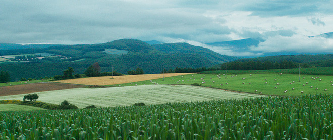 Hiện tại việc đến Hagashikawa để du lịch vẫn khá khó khăn và chưa thật sự phổ biến. Tuy nhiên chúng ta hoàn toàn có quyền tin tưởng rằng trong tương lai gần, "thị trấn nhiếp ảnh" sẽ dễ dàng tiếp cận hơn - để bất kì ai trân trọng cái đẹp, trân trọng thiên nhiên cũng đều có thể đặt chân đến đây một lần.