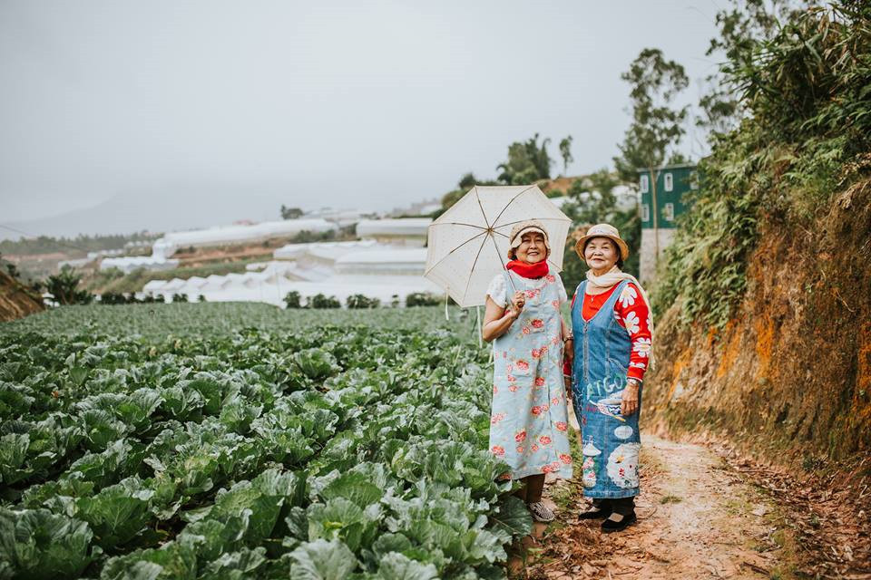 Ai cũng mơ ước có bộ ảnh du lịch Đà Lạt như đôi bạn thân U80 này - Hình 3 Ai cung mo uoc co bo anh du lich Da Lat nhu doi ban than U80 nay-Hinh-3