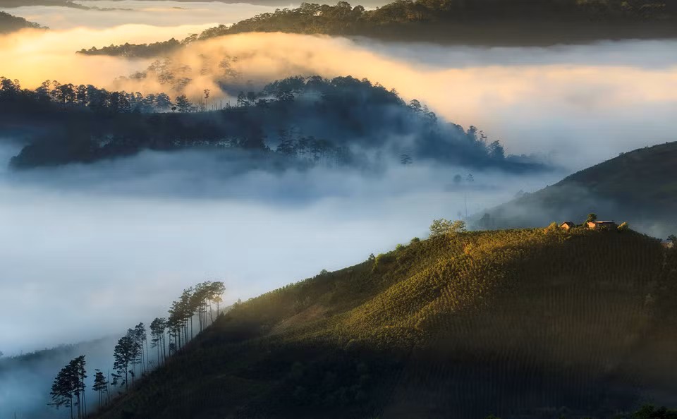 Ngắm bình minh Đà Lạt từ lâu đã trở thành đặc sản không thể bỏ qua khi đến nơi đây. Nếu đang đi du lịch ở thành phố ngàn hoa, thay vì vùi mình trong chăn ấm những sáng mai lành lạnh, bạn hãy dậy thật sớm để chiêm ngưỡng khung cảnh Mặt Trời mọc tuyệt đẹp trên biển mây trắng xóa bao phủ khắp núi rừng.