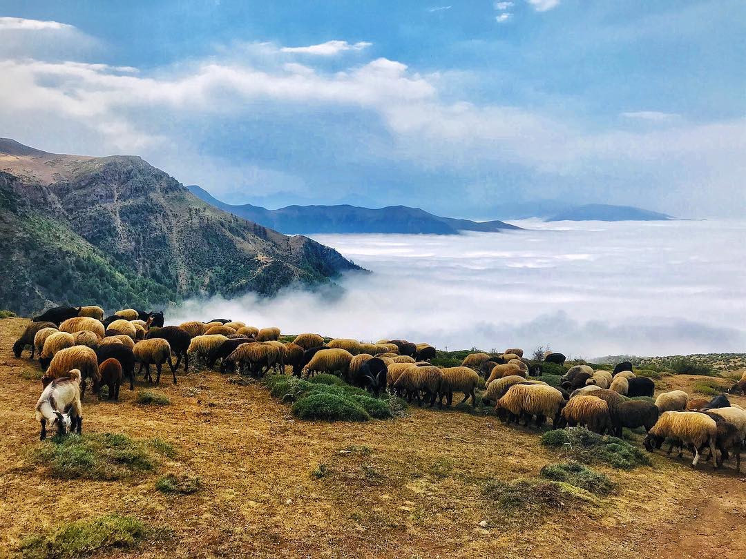Với những người đam mê nghiên cứu về biển mây, trước mỗi chuyến hành trình, tìm hiểu thật kỹ thời tiết, đong đếm lượng mưa, nhiệt độ, khí hậu... là điều không thể thiếu để có thể tính toán đúng thời điểm xuất hiện của hiện tượng này một cách khoa học.