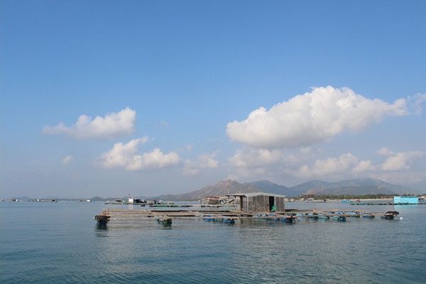 Trên đường đi, tàu sẽ ghé vào những chòi nuôi tôm hùm của người dân. Tại đây bạn có thể mua tôm hùm hoặc hải sản tươi sống với giá rẻ để ăn thoải thích ngoài đảo.