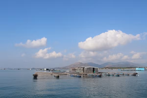 Trên đường đi, tàu sẽ ghé vào những chòi nuôi tôm hùm của người dân. Tại đây bạn có thể mua tôm hùm hoặc hải sản tươi sống với giá rẻ để ăn thoải thích ngoài đảo.