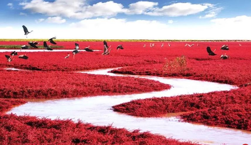 Mua thu Trung Quoc, bo lo nhung dia diem du lich nay se nuoi tiec ca doi-Hinh-5