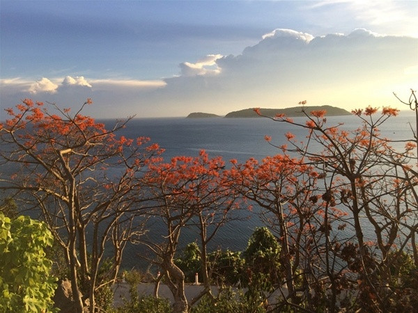 Khi cánh hoa ngô đồng đỏ rực một khoảng trời con người ta chợt nhận ra hóa ra, bình minh và hoàng hôn nơi đây "gây mê" hơn bởi những cây hoa ngô đồng đang khoe sắc nơi sườn cao kia.