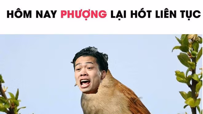 Cong Phuong, Anh Duc 