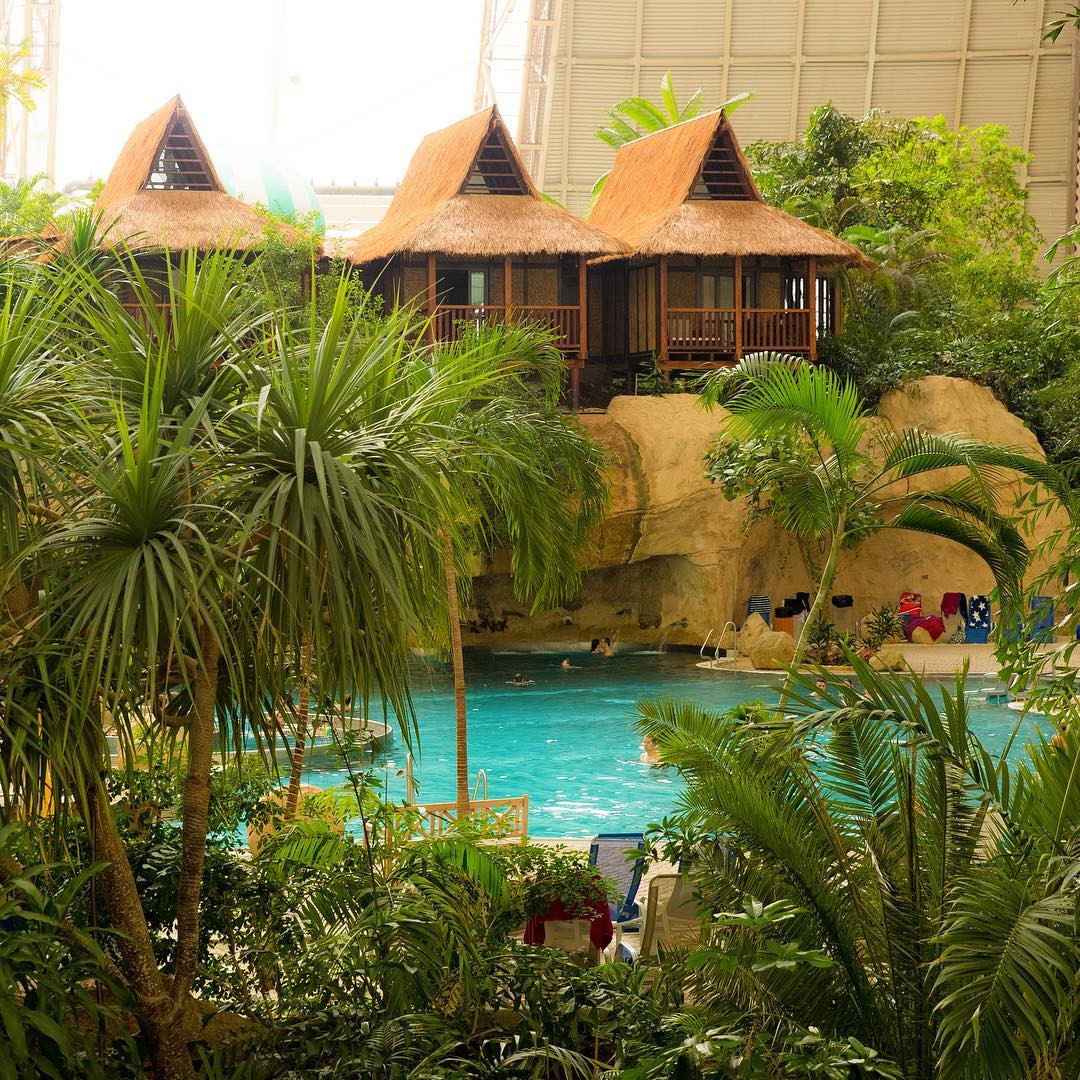 Với diện tích lên đến 66.000 mét vuông, Tropical Islands ở một thời điểm có thể chứa đến 6.000 người. Bên trong là một khu vườn nhiệt đới với hơn 600 loài thực vật khác nhau, thậm chí có cả quần thể rừng ngập mặn bao quanh một con đường đi bộ dài 1km.