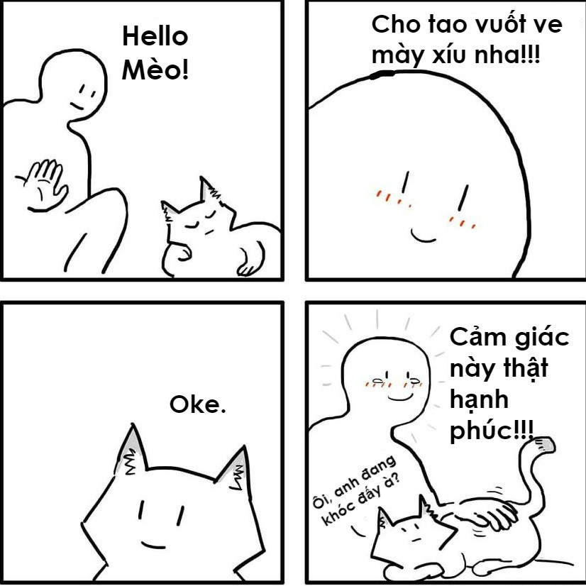 Có bao giờ bạn cảm thấy được ban "đặc ân" khi đi qua một con mèo lạ và nó cho phép vuốt ve chưa? Cảm giác đó thật sự hạnh phúc!