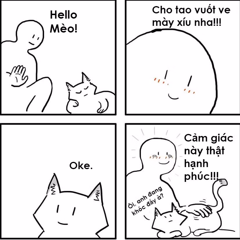 Có bao giờ bạn cảm thấy được ban "đặc ân" khi đi qua một con mèo lạ và nó cho phép vuốt ve chưa? Cảm giác đó thật sự hạnh phúc!