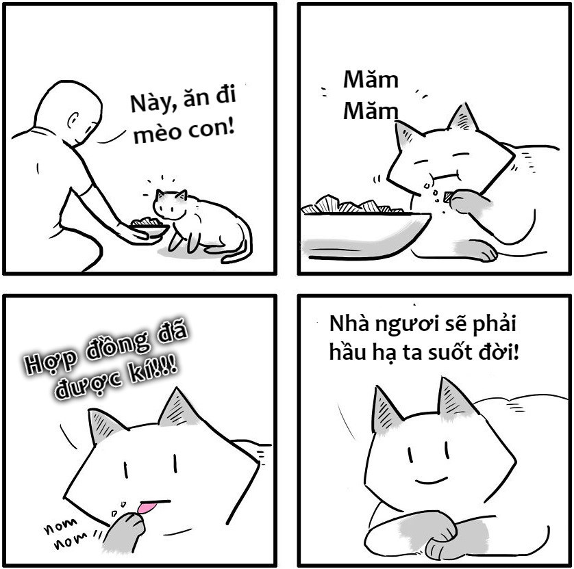 Còn những người nuôi mèo thường gọi vui chúng là "boss", "hoàng thượng". Bởi một khi đã nuôi mèo, có cảm giác chính con người mới là kẻ trung thành và đi "phục tùng" chúng