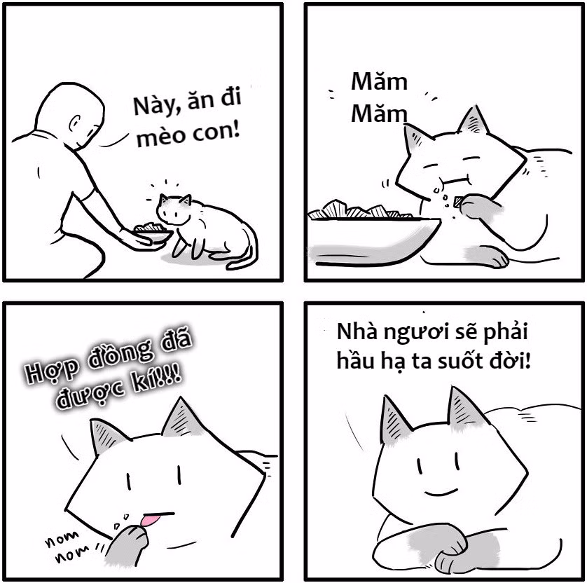 Còn những người nuôi mèo thường gọi vui chúng là "boss", "hoàng thượng". Bởi một khi đã nuôi mèo, có cảm giác chính con người mới là kẻ trung thành và đi "phục tùng" chúng