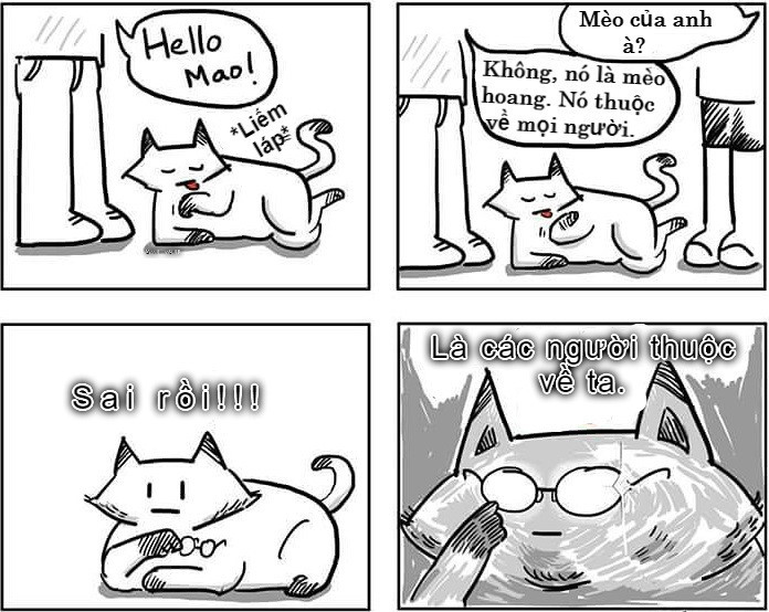 Còn mèo thì khác, mèo thích đi chơi hoang và đôi khi chúng sẵn sàng nhận chủ nhân mới.