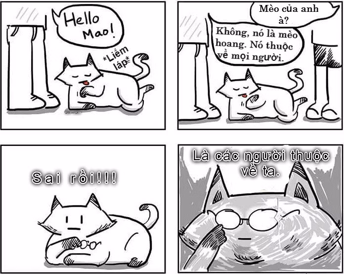 Còn mèo thì khác, mèo thích đi chơi hoang và đôi khi chúng sẵn sàng nhận chủ nhân mới.