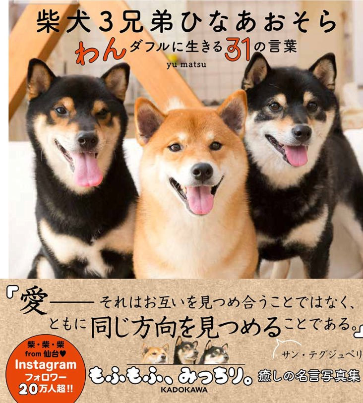 Ngoài việc sở hữu lượng fan lớn, "anh em nhà Shib" còn có bộ sưu tập ảnh và một trang web bán hàng online.