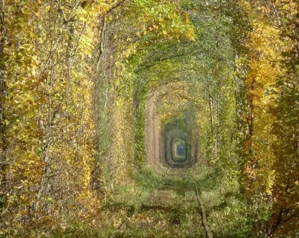 Ngo lac sang hanh tinh khac truoc nhung dia diem qua an tuong nay-Hinh-2