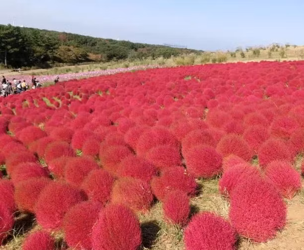 Ngo lac sang hanh tinh khac truoc nhung dia diem qua an tuong nay-Hinh-3