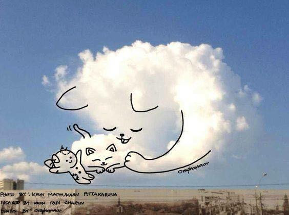 Gia đình mèo nhỏ đang nằm ngủ giữa trưa hè, gió mát.