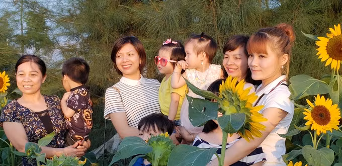 Hang tram nguoi chen chuc nhau check in o vuon huong duong Hai Phong-Hinh-3