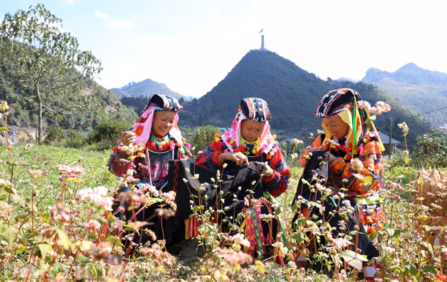 Người Lô Lô sinh sống chủ yếu quanh cột cờ Lũng Cú với dân số chỉ khoảng 300 người.