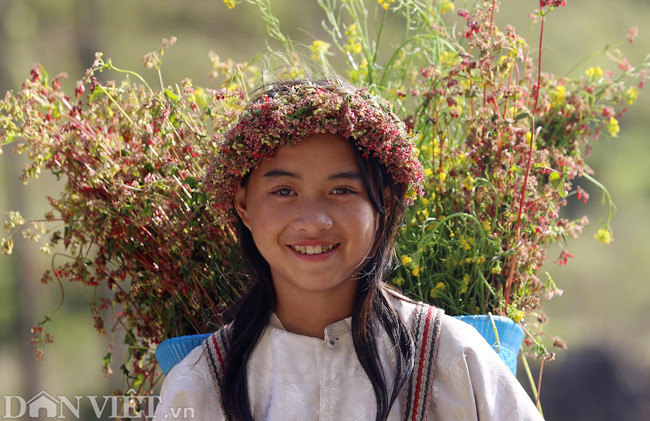 Em bé người Mông trên dốc Thẩm Mã, một điểm du lịch nổi tiếng trên tuyến quốc lộ 4C. Khu vực này, khách du lịch có thể chụp ảnh cùng các em bé này và chi khoảng 10.000 đồng cho một lần chụp.