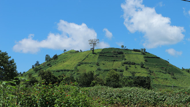 Gia Lai tuong khong co gi choi ma cung me man ngan ngo chang no ve-Hinh-10