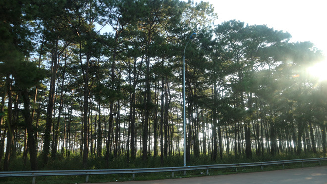 Gia Lai tuong khong co gi choi ma cung me man ngan ngo chang no ve