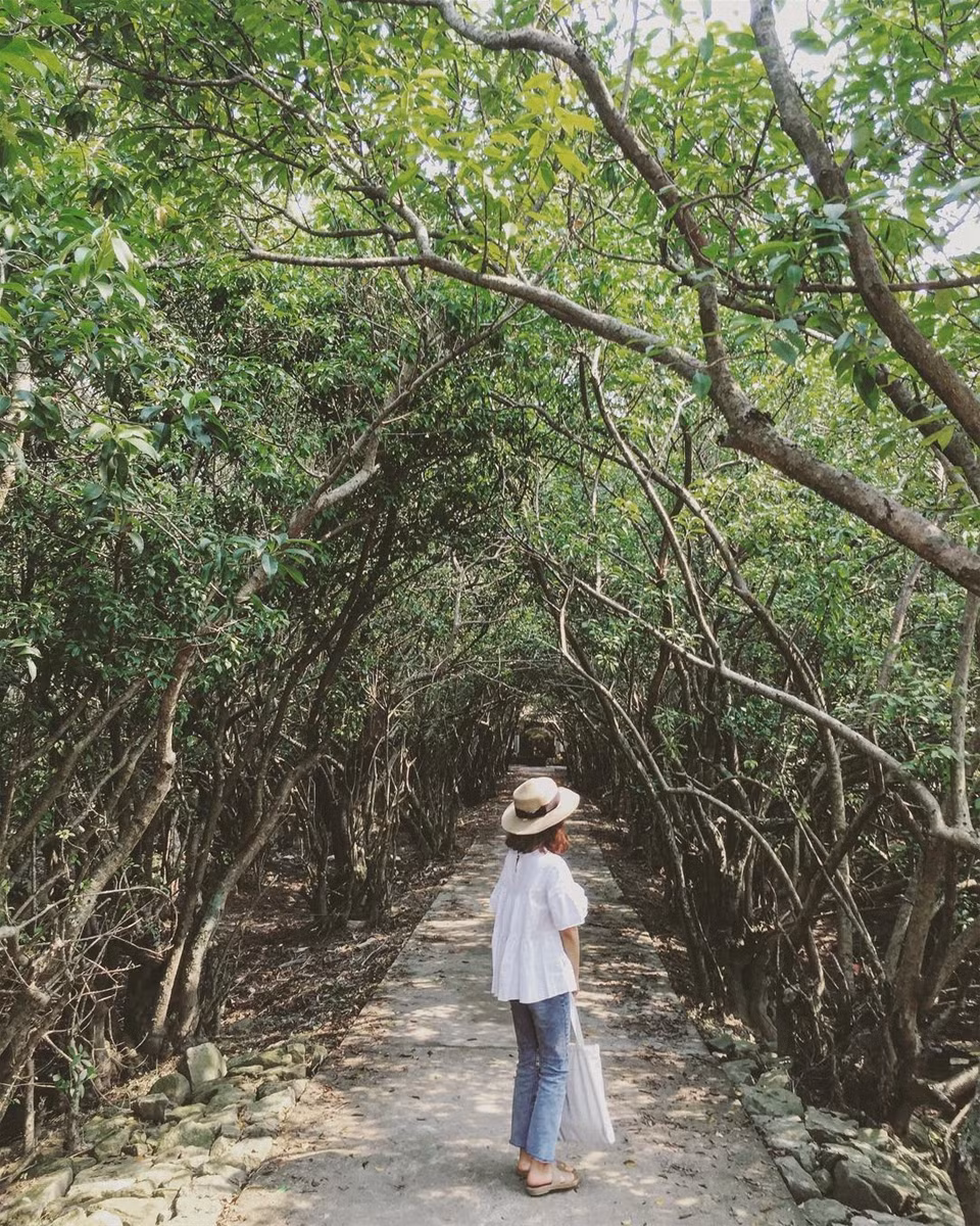 Con đường dẫn vào trung tâm huyền bí đến lạ lùng. Một điểm check in siêu chất, vào mùa đông lá rụng ngập lối đi bạn cứ ngỡ đang lạc vào ngôi làng hobbit bí ẩn vạn người mê.