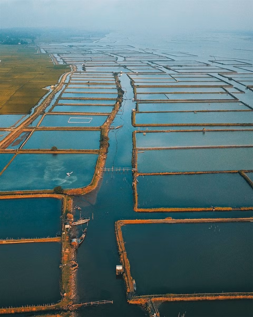 Giới trẻ đang rỉ tai nhau về điểm check in đang làm mưa làm gió tại xứ Huế, đó chính là đầm nước lợ phá Tam Giang. Vùng đầm nước lợ lớn nhất Đông Nam Á được người Huế tự hào với vẻ đẹp hoang sơ, huyền ảo.