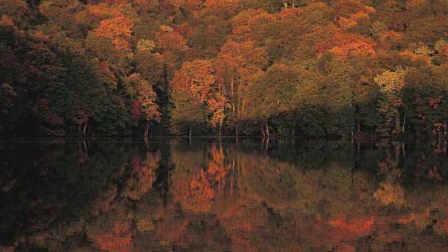 Dãy núi Hakkoda, tỉnh Aomori: Dãy núi này có nhiều núi lửa và nổi tiếng với phong cảnh đẹp qua các mùa trong năm. Vùng đất đẹp này bao gồm hồ, đầm lầy, tuyến đi bộ đường dài và suối nước nóng.