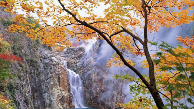 Thác Torigoe-no-taki, tỉnh Iwate: Thác nước đẹp như tranh vẽ này nằm gần thị trấn nghỉ dưỡng trượt tuyết Shizukuishi.