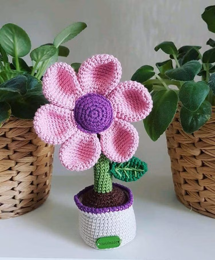 Dan mang tro tai lam qua handmade cuc doc de tang ban