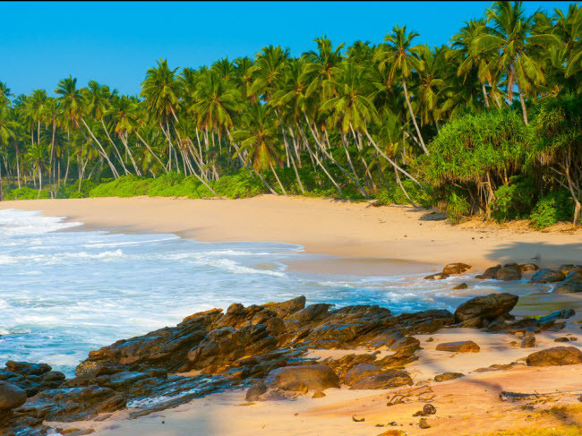 Hiriketiya, Sri Lanka: Chỉ cách một quãng đường ngắn di chuyển bằng ô tô từ thành phố Tangalle, bãi biển Hiriketiya năm trên vịnh nhỏ hình móng ngựa. Nơi đây là địa điểm lý tưởng dành cho những du khách thích lướt sóng. Hiriketiya, Sri Lanka: Chỉ cách một quãng đường ngắn di chuyển bằng ô tô từ thành phố Tangalle, bãi biển Hiriketiya năm trên vịnh nhỏ hình móng ngựa. Nơi đây là địa điểm lý tưởng dành cho những du khách thích lướt sóng.
