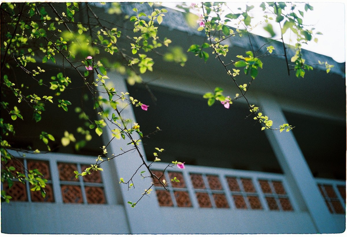 Khung canh lang man dep den kho tin cua dai hoc Quoc gia Ha Noi-Hinh-10