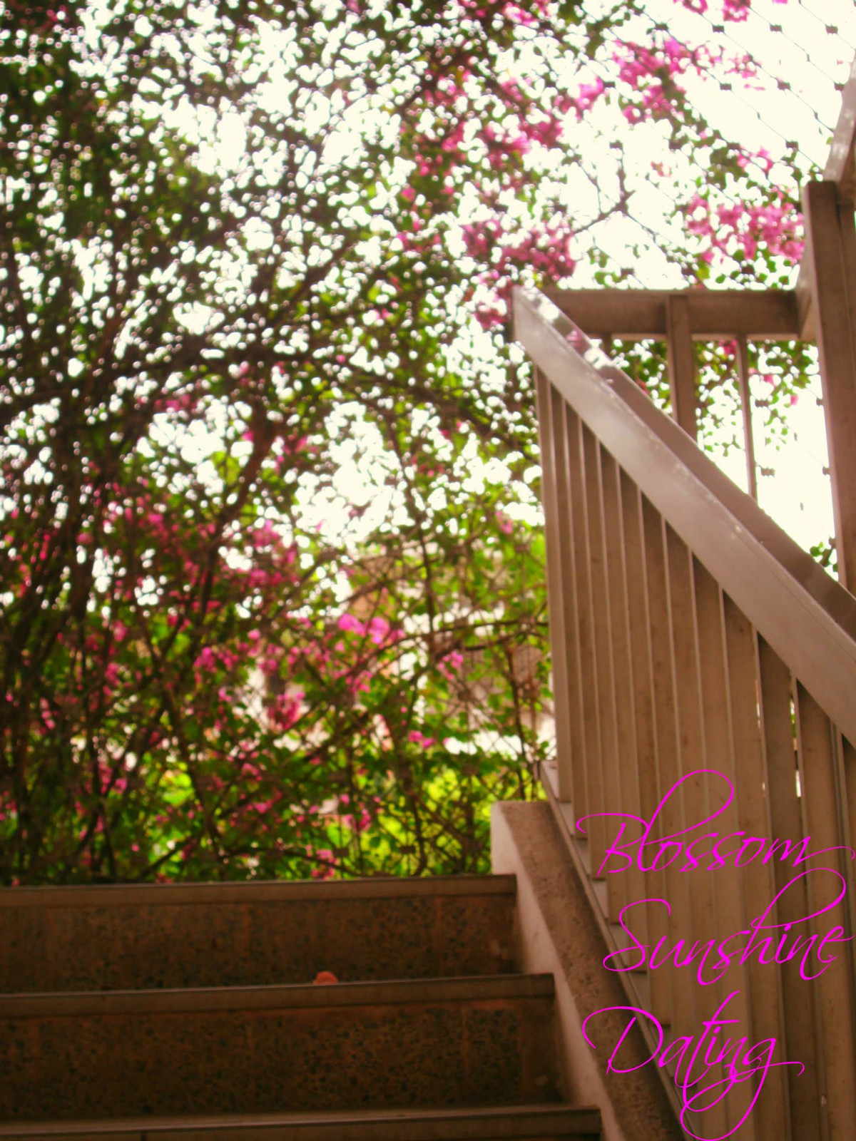 Khung canh lang man dep den kho tin cua dai hoc Quoc gia Ha Noi-Hinh-4