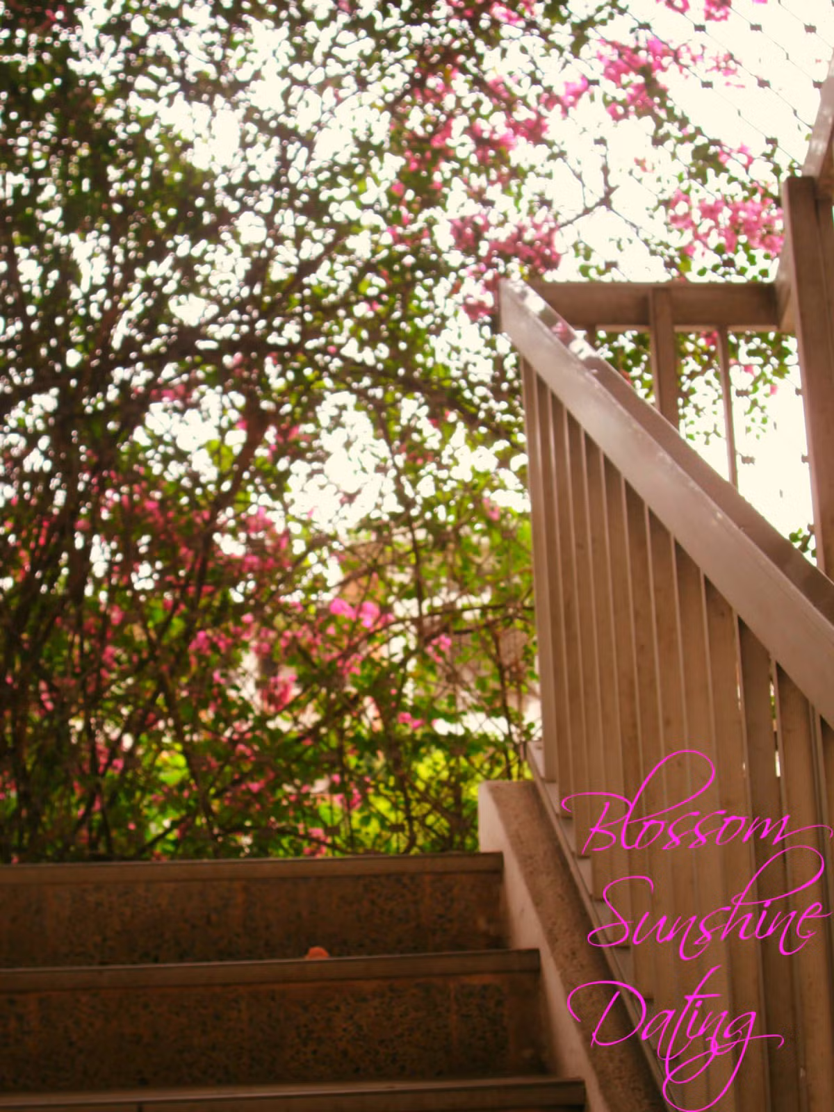 Khung canh lang man dep den kho tin cua dai hoc Quoc gia Ha Noi-Hinh-4