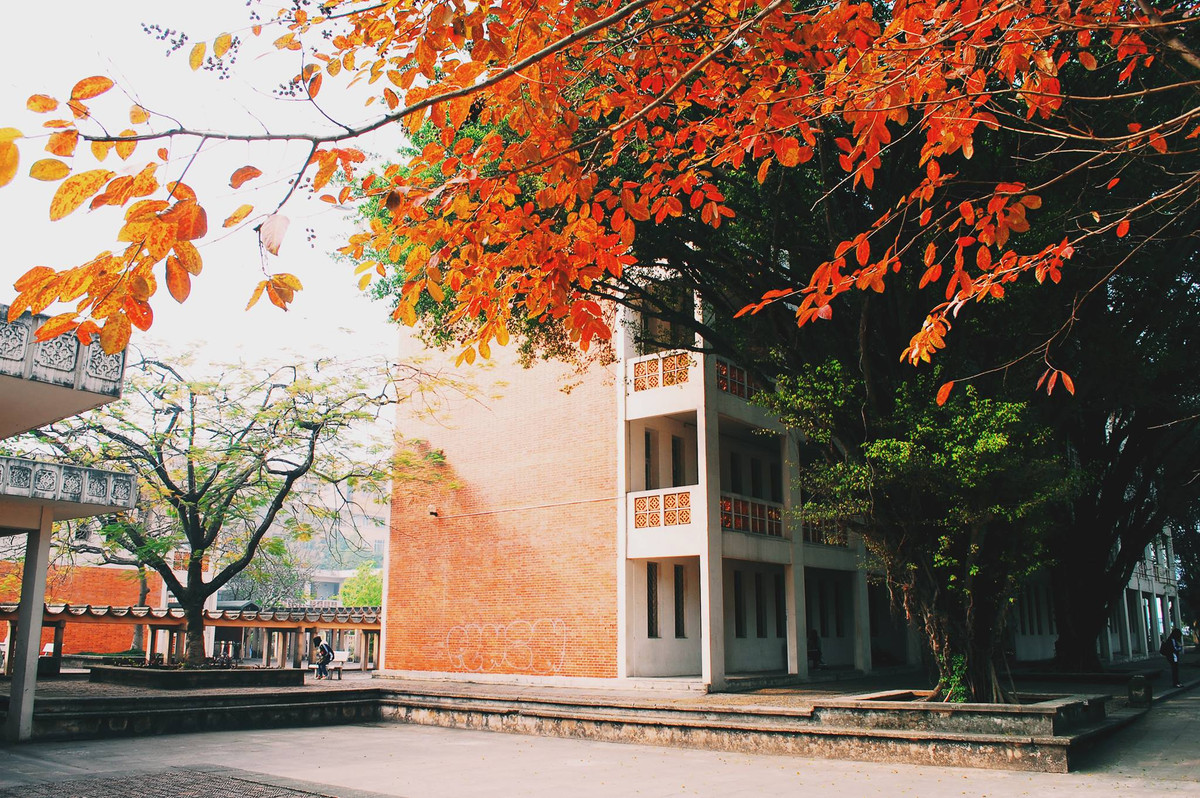 Khung canh lang man dep den kho tin cua dai hoc Quoc gia Ha Noi-Hinh-5