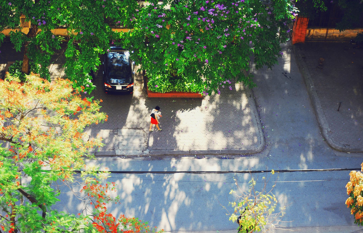 Khung canh lang man dep den kho tin cua dai hoc Quoc gia Ha Noi-Hinh-6