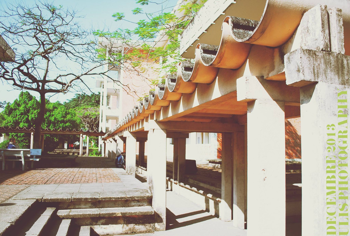 Khung canh lang man dep den kho tin cua dai hoc Quoc gia Ha Noi-Hinh-7