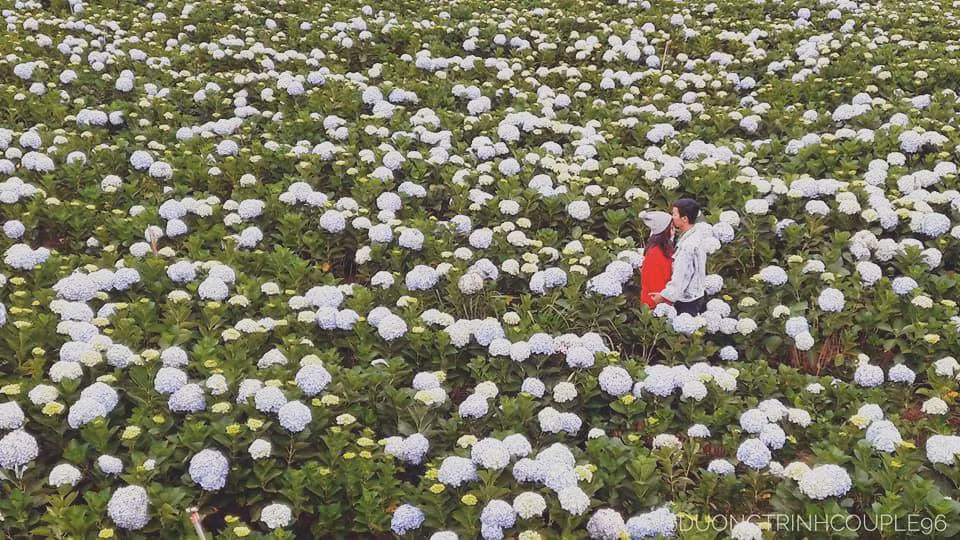 Da Lat tinh het nac trong bo anh cua cap doi 9X me phuot-Hinh-3