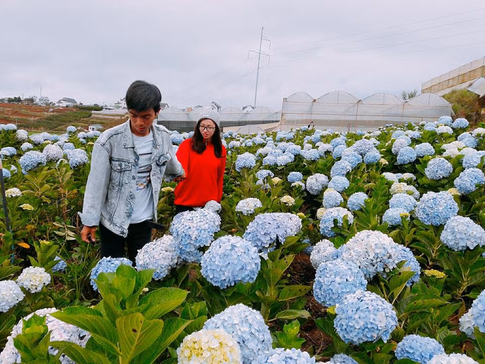 Da Lat tinh het nac trong bo anh cua cap doi 9X me phuot-Hinh-9